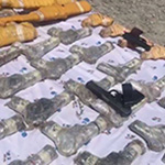 امنیت ملی، یک شهروند پاکستانی گروه طالبان را دستگیر کرد 